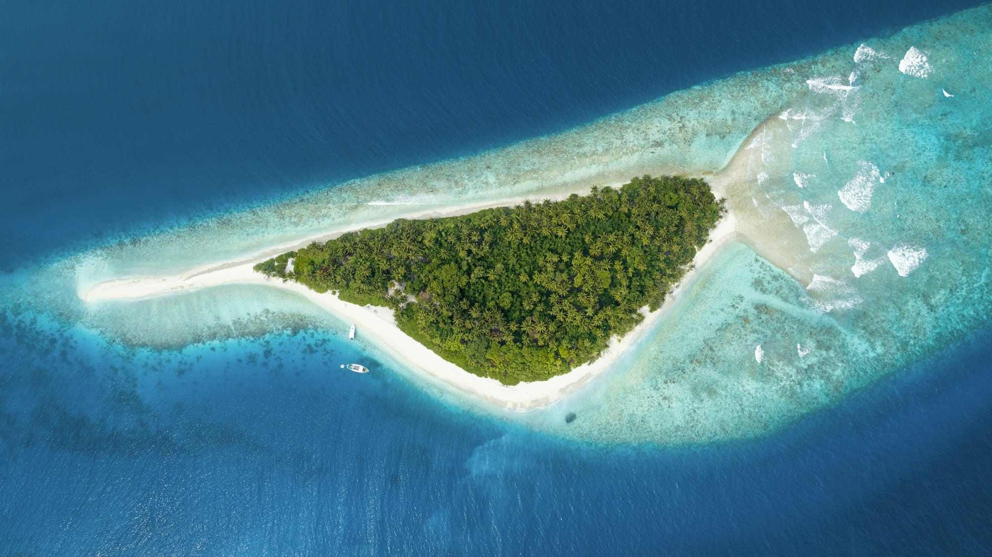 Vue aérienne d'un littoral polynésien avec habitations